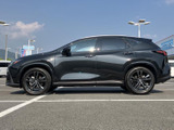 NX 250 バージョンL