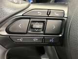 ステアリングスイッチ付き。前方から目を離すことなく操作することが可能です。