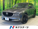 ディーゼル 純正10.25型ナビ 全周囲カメラ 衝突被害軽減装置