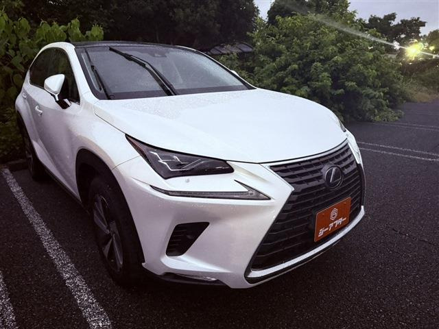 NX 300 Iパッケージ サンルーフ ベージュレザーシート