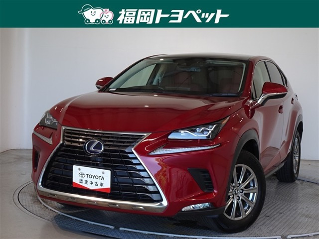 NX 300h Iパッケージ 