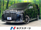 モデリスタエアロ BIG-X11型 バックカメラ 後席モニター