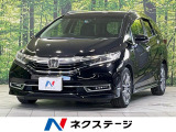 アダプティブクルーズ 禁煙車 フルセグ バックカメラ ETC