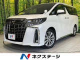 純正9型ナビ 両側電動ドア バックカメラ 衝突軽減 レーダークルーズ