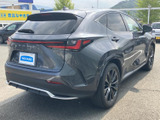 NX 350h Fスポーツ 