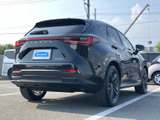 NX 250 バージョンL
