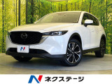 純正10型ナビ 全周囲カメラ