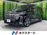 純正10インチナビ 衝突軽減 後席モニター バックカメラ 両側電動