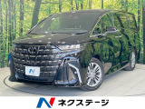 全周囲カメラ BSM レーダークルーズ 両側電動ドア 電動リアゲート