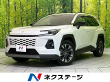 レーダークルーズ 純正12.9型ディスプレイオーディオ 全周囲カメラ