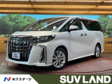 サンルーフ 9型BIG-X 後席モニター バックカメラ 両側電動ドア