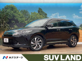 4WD 寒冷地仕様 純正9型ナビ パワーバックドア レーダークルーズコン