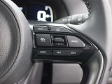 全車速追従型レーダークルーズコントロール、同一車線内の中央を走行するよう操舵支援するレーントレーシングアシストを搭載しています。