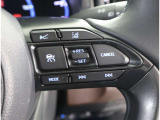 レーダークルーズコントロール(全車速追従機能付)付きです。車速に応じて追従支援してくれるので、ロングドライブも快適です。詳細は販売店スタッフまでおたずねください。