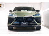 Mirror housings in High Gloss Black