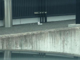 ◆ヘッドアップディスプレィ◆