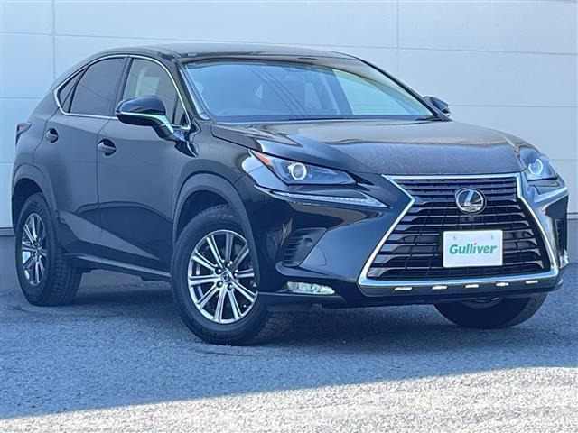 NX 300 修復歴無し