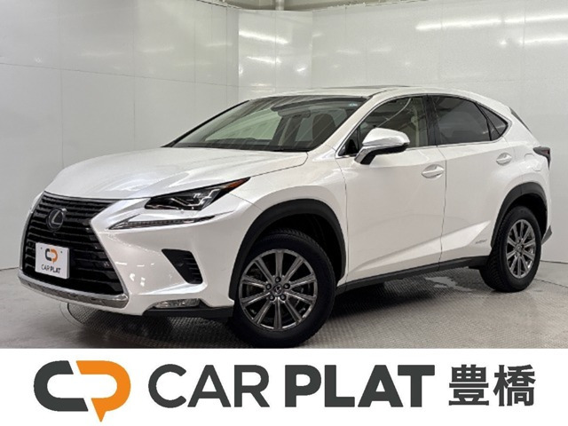 NX 300h Iパッケージ 