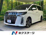 サンルーフ 両側電動ドア BIGX11型ナビ フリップダウンモニター