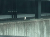 ◆ヘッドアップディスプレィ◆