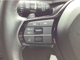 【ステリモ】ステアリングリモコンスイッチにてオーディオ操作可能となっており、運転にも集中できます。少しでも視線移動を減らし事故に遭う確率を下げます。