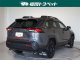 色は精悍なグレーメタリックです。