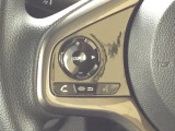 ステアリングにハンズフリー通話スイッチを装備。運転中でも手を離さずに通話操作ができるため、家族との連絡や急な電話にも安心して対応できます。