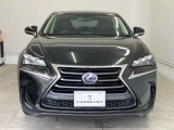 NX 300h Iパッケージ 