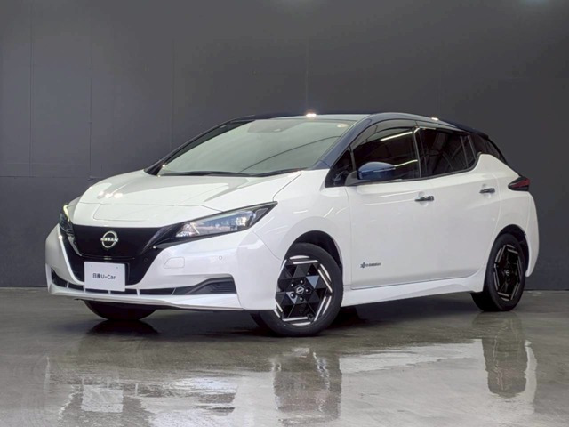 日産 リーフ 