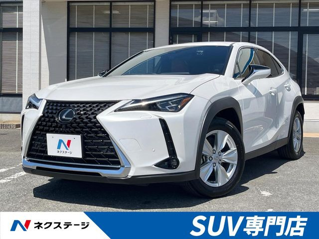 UX 250h バージョンC