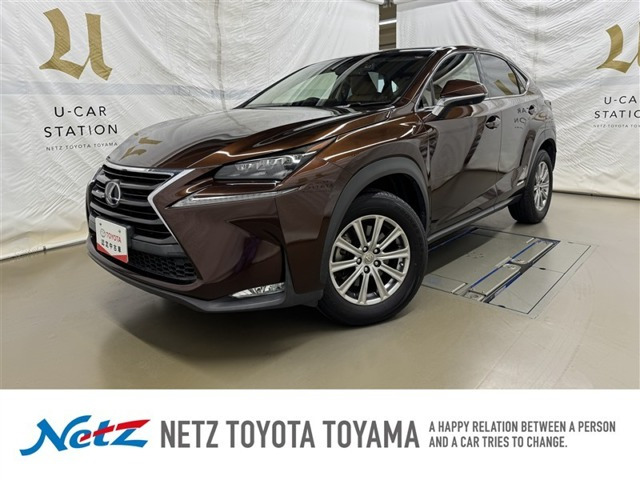 NX 300h Iパッケージ 