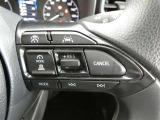 【便利装備】クルーズコントロールスイッチ☆希望の車速で定速走行する事ができます。高速道路を走る時に便利な機能です※設定速度には制限があります。