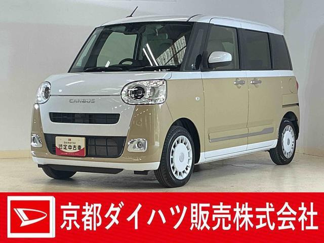ムーヴキャンバス  ストライプス G