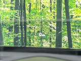 【ヘッドアップディスプレイ】現在の速度や走行情報をデジタル表示で運転席前方のガラスに投影!運転中、目線をずらさず必要な情報を確認できるのでとっても便利で安心!