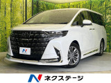 純正14インチナビ 両側電動ドア 後席モニター 全周囲カメラ