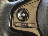 ステアリングのスイッチで通話操作が可能。手を離さずに使えるので安心して運転できます。