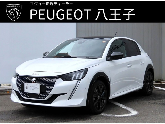 e-208 GT 