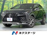 10型メーカーナビ バックカメラ 電動リアゲート 衝突軽減装置