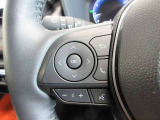ステアリングスイッチは前方から目を離すことなく操作することが可能。わき見運転の防止に。