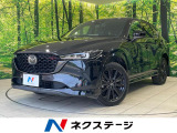 純正10型ナビ 全周囲カメラ 衝突軽減装置 レーダークルーズ 禁煙車