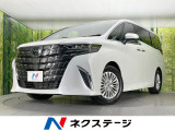 両側電動ドア 全周囲カメラ 衝突被害軽減システム レーダークルーズ