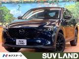 禁煙車 レーダークルーズ ブラインドスポットモニター 電動リアゲート