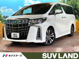 サンルーフ 純正9インチナビ バックカメラ デジタルインナーミラー