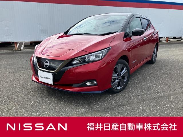 リーフ  e+ アーバンクロム