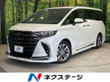 レーダークルーズ 電動リアゲート 前席シートエアコン リアシートエアコン