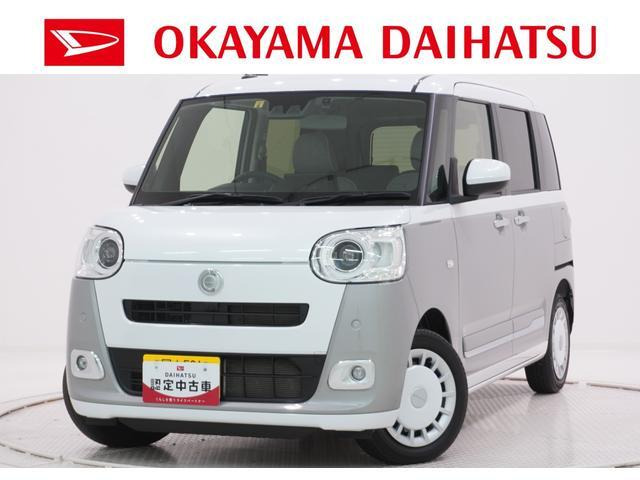 ムーヴキャンバス ストライプス G
