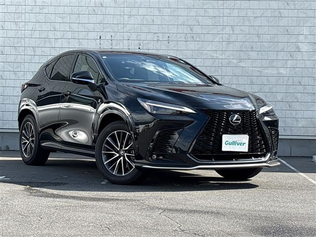 NX 350h Fスポーツ 本革シート 修復歴無し