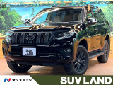 全周囲カメラ ブラインドスポットモニター レーダークルーズ ベージュ革
