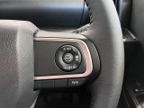 全車速追従機能付ACC(アダプティブクルーズコントロール)付