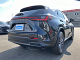NX 350h バージョンL 